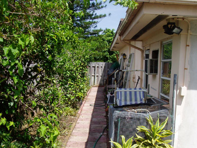 Side Yard of House in August 2004