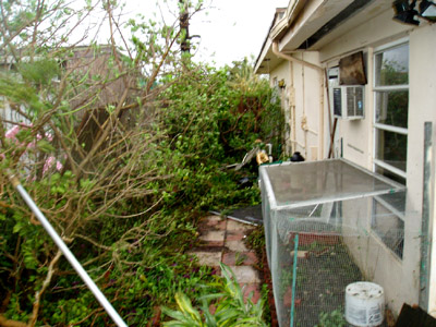 Side Yard of House after Hurricane Wilma