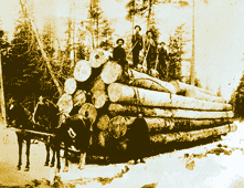 Men pushing big logs