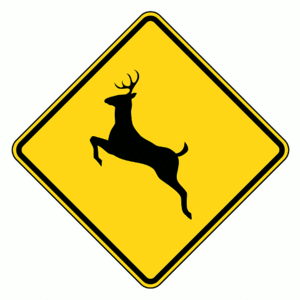 deer-crossing.gif