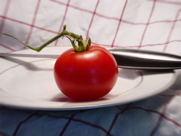 Homestead Tomato