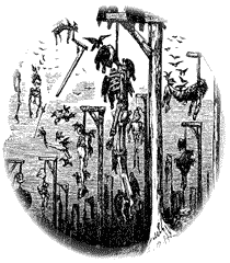 This gives new meaning to Skull & Bones