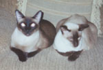 Coco and Oji